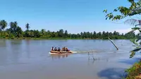 Hilang Saat Buang Hajat, Pemuda Mamuju Tengah Ditemukan di Mulut Buaya