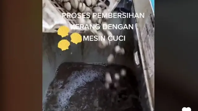 Kerang