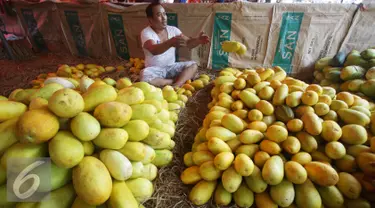 Pedagang menjajakan timun suri di Pasar Induk Kramat Jati, Jakarta, Rabu (8/6). Selama bulan Ramadan, timun suri menjadi salah satu buah yang banyak dicari warga sebagai menu berbuka puasa, dengan harga Rp6 ribu perkilo. (Liputan6.com/Immanuel Antonius)