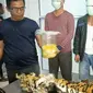 Tersangka pemburu dan penjual kulit harimau sumatra yang ditangkap petugas Gakkum KLHK Sumatra. (Liputan6.com/M Syukur)