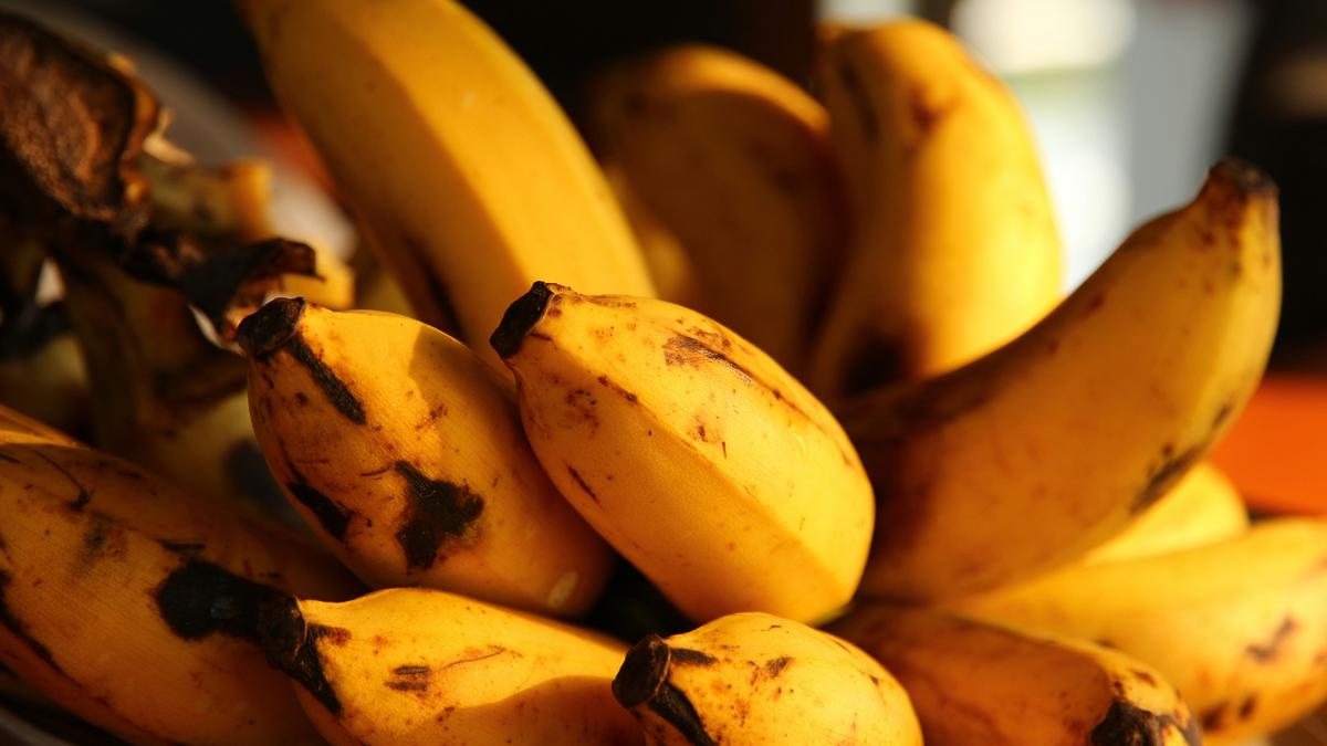 Resep Olahan Pisang Tanpa Digoreng: Sehat, Enak, dan Mudah Dibuat untuk Camilan Keluarga