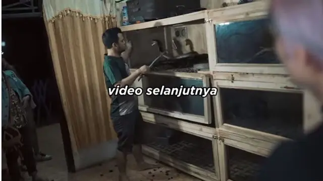 7 Penampakan Isi Rumah Panji Petualang, Ada Hewan Purbakala