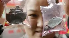 Oleh-oleh berupa gantungan kunci yang marak dijual di beberapa daerah ini menuai kecaman dari berbagai kalangan. Ini dikarenakan gantungan kunci tersebut berisi binatang yang masih hidup.