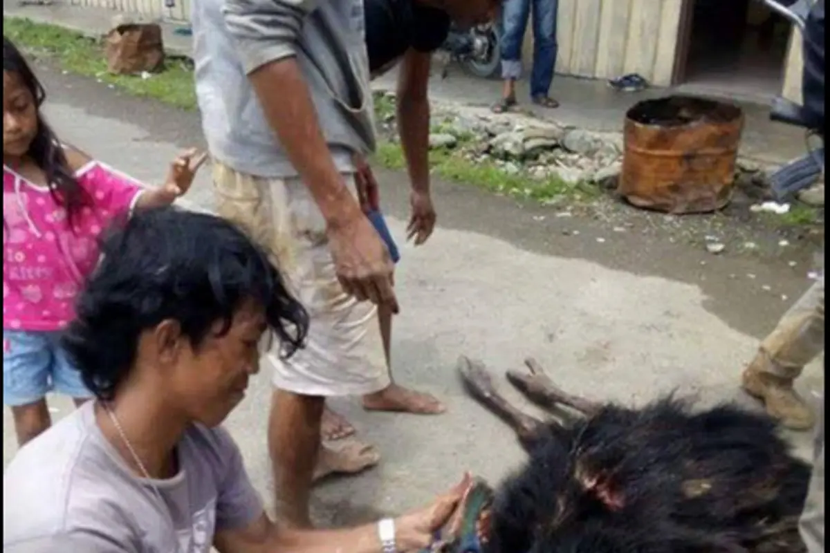 Pembunuh Satwa Liar Kembali Berulah, Netizen Semakin Geram