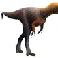 Suskityrannus hazelae, nenek moyang T-rex berukuran mungil. Sumber: Science News