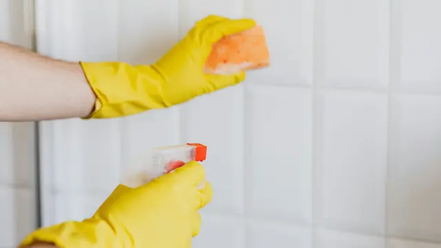 Virgo (23 Agustus-22 September)