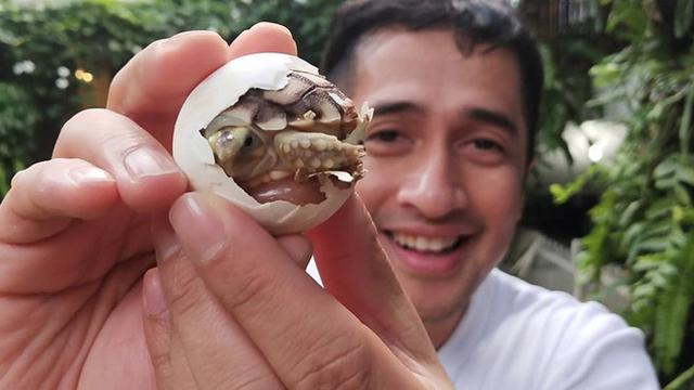 Dikenal Sebagai Pecinta Hewan, Ini 6 Potret Irfan Hakim Dengan Binatang Peliharaannya