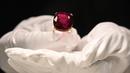 Perwakilan dari Sotheby's mengangkat Estrela de Fura Ruby, batu rubi terbesar di dunia, di Hong Kong pada 17 April 2023. (Photo by Peter PARKS / AFP)