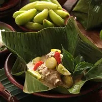 Ilustrasi garam asem ayam/copyrightshutterstock/Ariyani Tedjo