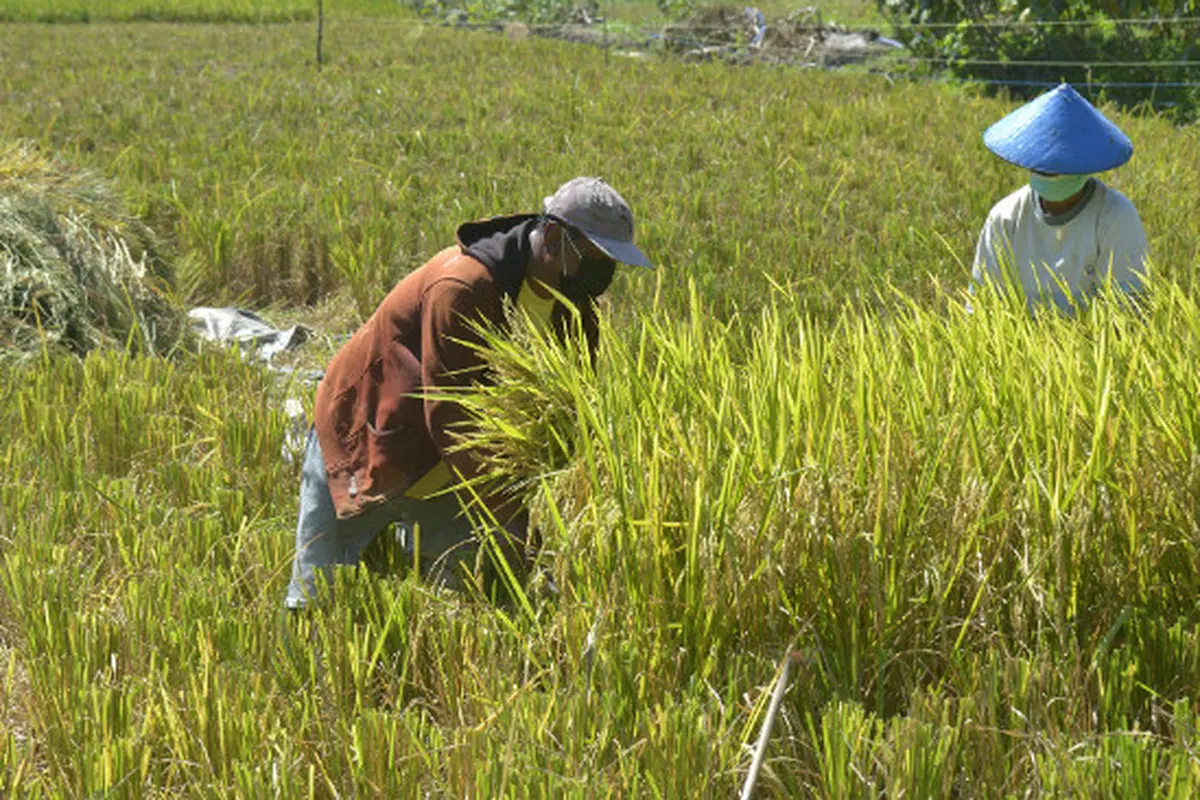 (Foto: Dok Pemkot Surabaya)