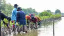 <p>Para petani di kawasan pesisir Muara Gembong melakukan penanaman 10.000 pohon mangrove dengan dukungan program BRI Menanam - Grow &amp; Green.&nbsp;</p>