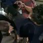 Seorang anggota polisi terkena busur saat amankan demo 11 April di Makassa (Liputan6.com/Fauzan)