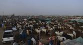 Orang-orang memadati pasar ternak menjelang perayaan Idul Adha di kota pelabuhan Karachi, Pakistan (1/7/2022). Idul Adha merupakan salah satu hari raya umat Islam di dunia yang identik dengan penyembelihan hewan kurban bagi yang mampu. (AFP/Asif Hassan)