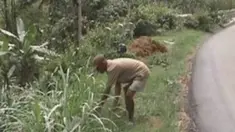 liputan6
