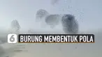Fenomena unik terjadi saat kawanan burung-burung membentuk pola di langit.