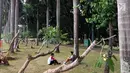 Pengunjung bersantai sambil bercengkerama di sekitar Taman Monas, Jakarta, Rabu (17/1). Pencabutan pagar Taman Monas mulai berlaku sejak Senin, 8 Januari 2018. (Liputan6.com/Immanuel Antonius)