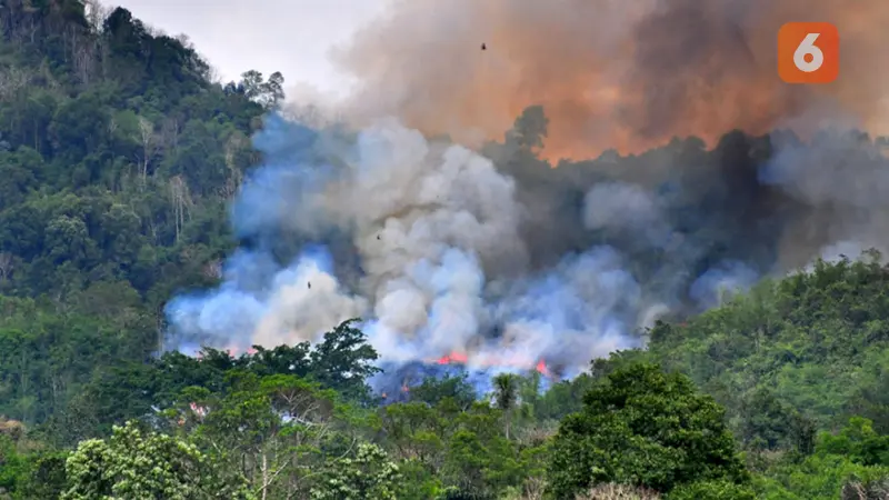 Polusi Udara Tak Hanya Terjadi di Jakarta, Berbagai Wilayah Lain Kena Bencana Asap Akibat Kebakaran Hutan