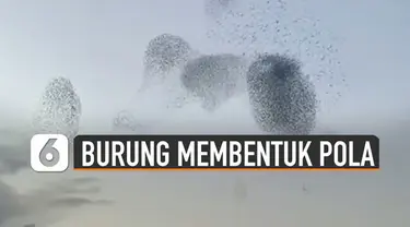 Fenomena unik terjadi saat kawanan burung-burung membentuk pola di langit.