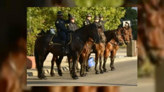 Polisi berkuda di Orlanda, Florida. (Sumber City of Orlando)