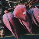 Tips Memilih Jantung Pisang yang Tidak Sepat, Kenali Ciri-Cirinya Sebelum Membeli