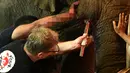 <p>Tim dokter hewan dari Four Paws International merawat gading gajah Madhu Bala yang bengkak di Karachi Zoological Garden, Karachi, Pakistan, 17 Agustus 2022. Para aktivis melaporkan kondisi gajah-gajah di kebun binatang tersebut yang menyedihkan. (Asif HASSAN/AFP)</p>
