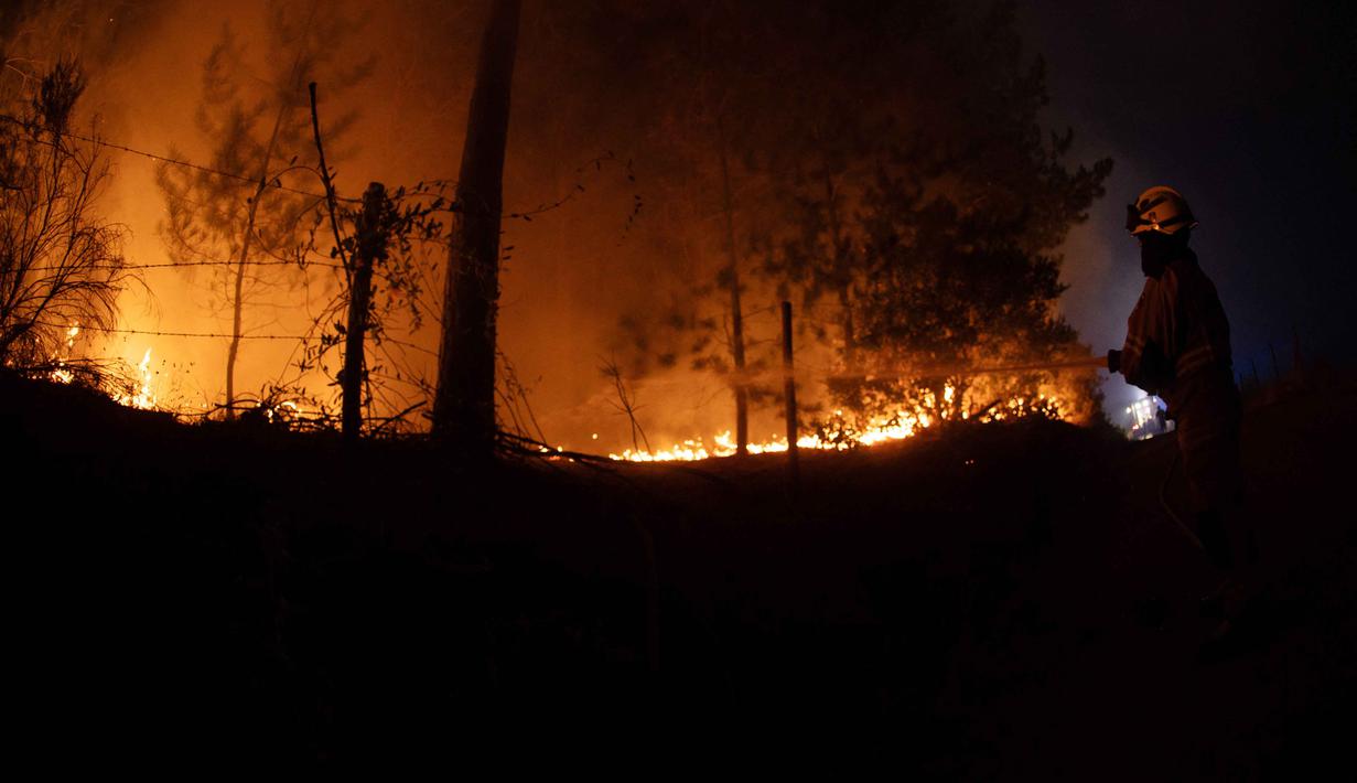 Sedikitnya 19 orang tewas akibat kebakaran hutan panas ekstrem. Tampak dalam foto, seorang petugas pemadam kebakaran berusaha memadamkan vegetasi yang terbakar selama kebakaran hutan di kota Florida dekat kota Concepcion, Chile, pada Senin 19 Januari 2026. (Raul BRAVO/AFP)
