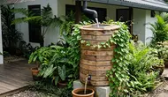 Ide Drum Plastik Bekas Jadi Bak Penampung Air Hujan, Solusi Hemat Air Bersih