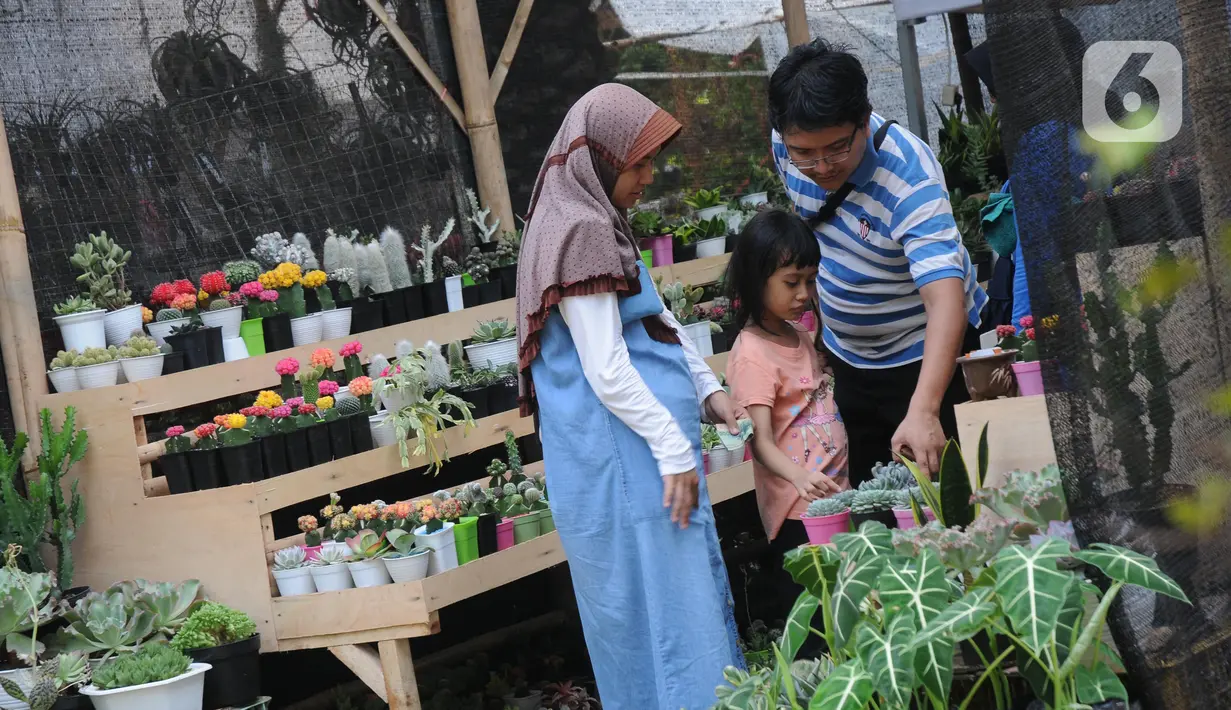 Pengunjung melihat-lihat tanaman yang dijual pada pameran Keanekaragaman Hayati Nusantara Expo di Lapangan Banteng, Jakarta, Sabtu (30/11/2019). Pameran dalam rangka memperingati Hari Cinta Puspa dan Satwa Nasional 2019 ini berlangsung hingga 8 Desember mendatang. (Liputan6.com/Helmi Fithriansyah)