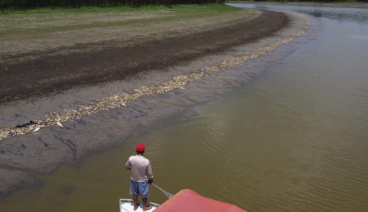 Menurut badan pertahanan sipil Brasil, kekeringan diperkirakan akan berlangsung lebih lama dan intens karena fenomena cuaca El Nino, yang menghambat pembentukan awan hujan. (AP Photo/Edmar Barros)