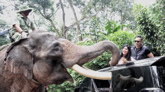 6 Momen Kebersamaan Keluarga SBY, Camping Bareng di Tengah Hutan