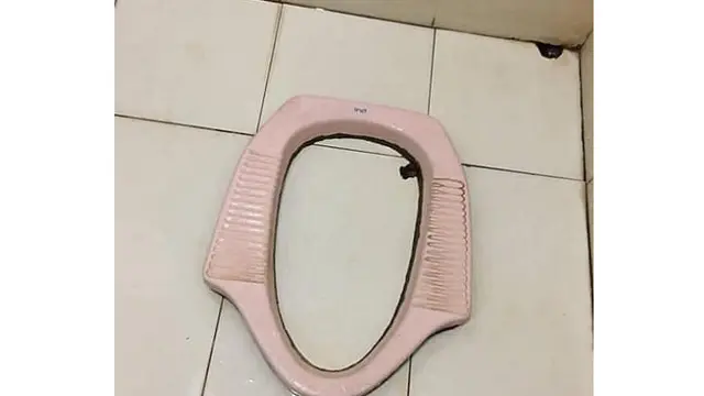 Super Kocak, 10 Desain Toilet Antimainstream yang Bikin Ngakak