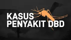 Kemenkes RI mencatat kejadian penyakit demam berdarah dengue (DBD) per 3 Februari 2019, ada 16.692 kasus dengan angka kematian mencapai 169 jiwa di seluruh Indonesia.