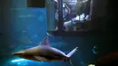 Wisatawan melihat ikan hiu di dalam kamar saat menginap di hotel bawah air Aquarium of Paris, Prancis, 14 Maret 2016. Hotel yang dibuat oleh Airbnb dan Aquarium of Paris tersebut menawarkan sensasi menginap yang menegangkan. (REUTERS/Charles Platiau)