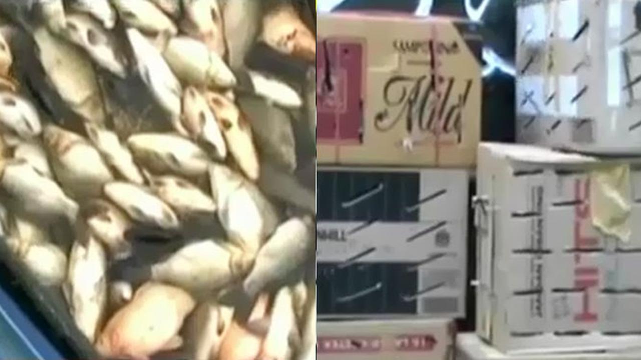 Kilas-Indonesia-141202