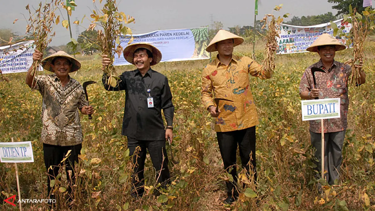 lahan-kedelai-131118b.jpg