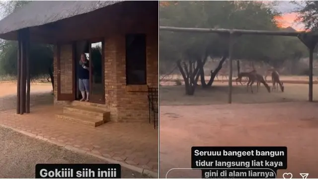 Usai Liburan di Jepang, Ini 6 Potret Alshad Ahmad yang Asyik Safari di Alam