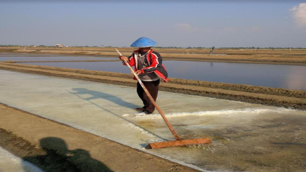 (Foto: Liputan6.com/Fajar Eko)