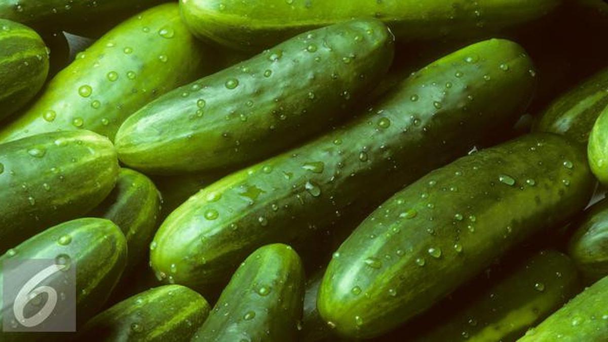 Mentimun: Segarnya Menyegarkan, Manfaatnya Melimpah, Dan Cara Menikmatinya