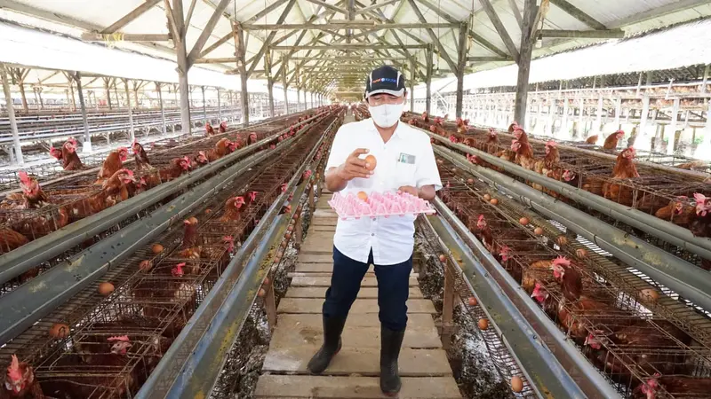 Banyuwangi Gandeng UMKM Lokal untuk Pasokan Telur dan Buah Bagi Tenaga Kesehatan