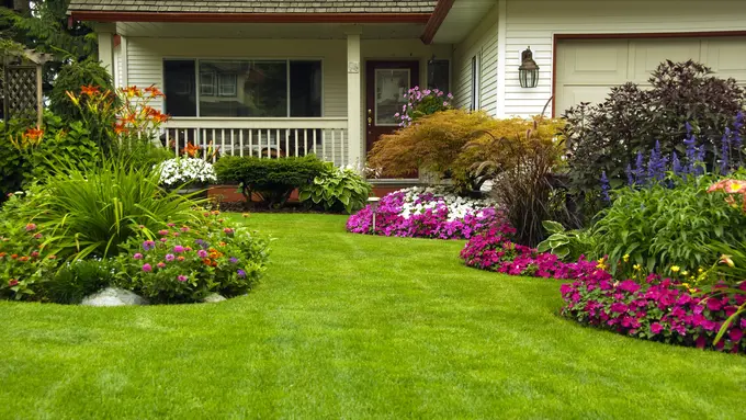 Ide Taman Depan Rumah Minimalis yang Bikin Suasana Asri dan Nyaman