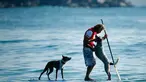 Pelatih anjing sekaligus mantan juara selancar, Chris de Aboitiz berselancar dengan kedua anjingnya di lepas pantai Palm, Sydney , (18/2). Hal ini dilakukan Chris untuk menjalin hubungan yang baik dengan peliharaannya. (REUTERS / Jason Reed)