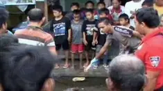 liputan6