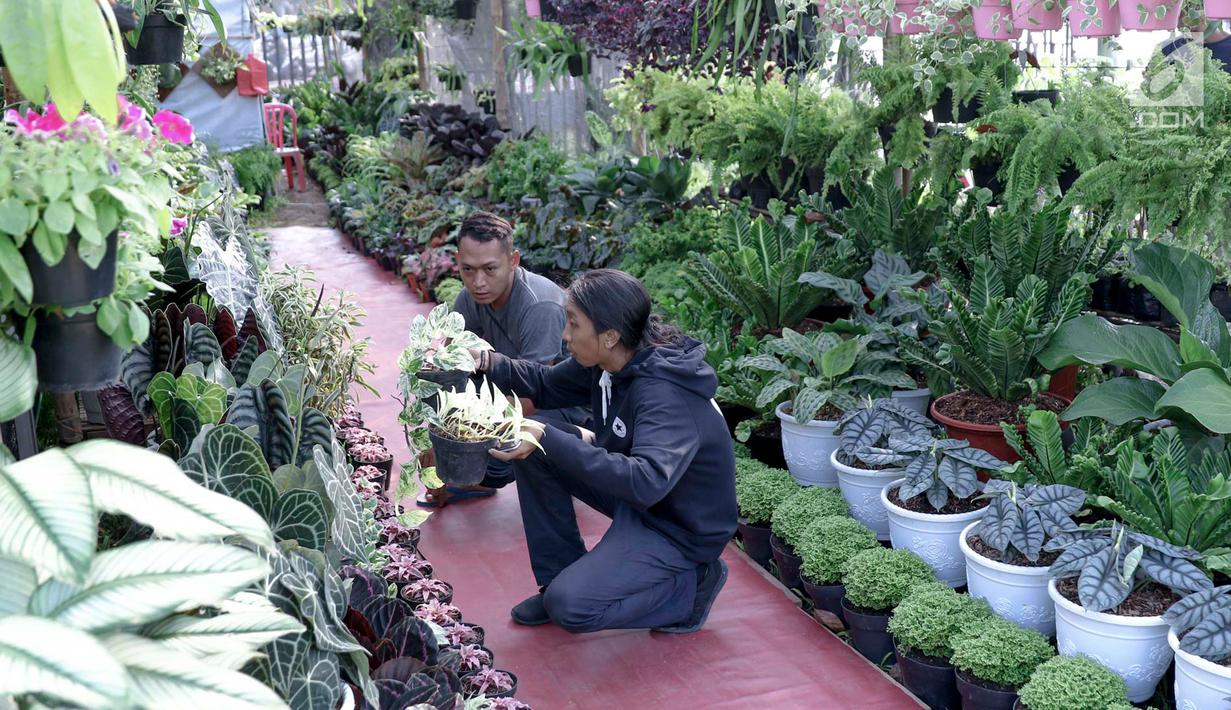 Foto Wow Pameran Flora Dan Fauna 2018 Hijaukan Lapangan