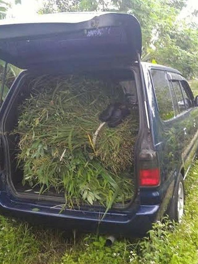 6 Potret Alih Fungsi Mobil untuk Pekerjaan di Sawah Ini Nyeleneh Banget