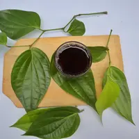 ilustrasi teh daun sirih/Rayhandi/Shutterstock