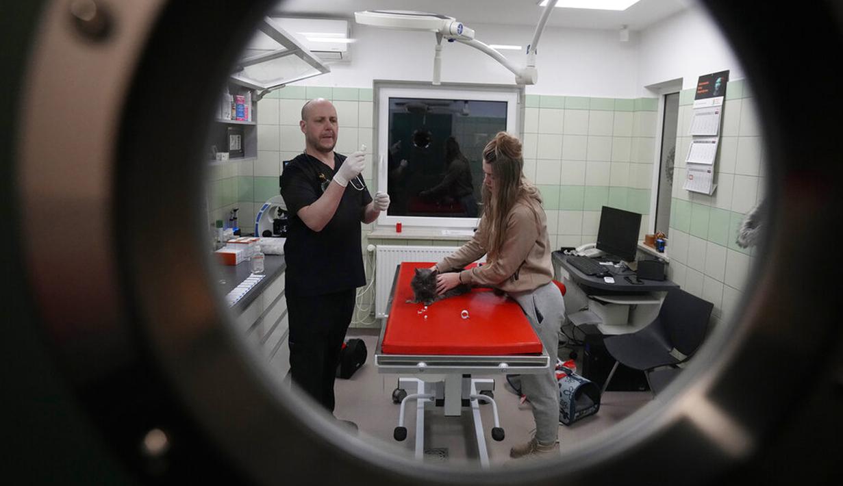 Dokter dan relawan merawat kucing yang tiba dari Ukraina di Przemysl, Polandia, Selasa (8/3/2022). Sejak awal invasi Rusia, mereka telah berhasil mengevakuasi lebih dari 300 hewan yang telah dibawa ke Lviv dari bagian timur negara itu. (AP Photo/Czarek Sokolowski)