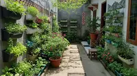 8 Cara Menata Pekarangan agar Menjadi Sumber Pangan Sekaligus Mempercantik Rumah
