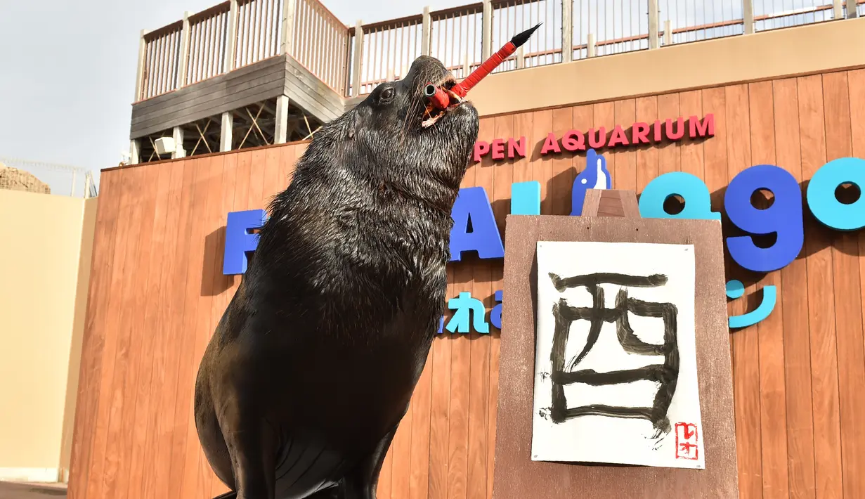 Leo berpose sambil menggigit kuas saat latihan membuat aksara Tiongkok di Hakkeijima Sea Paradise akuarium di Yokohama, Tokyo, Jepang (26/12). Arti tulisan tersebut adalah Rooster atau Ayam jantan. (AFP/Kazuhiro Nogi)