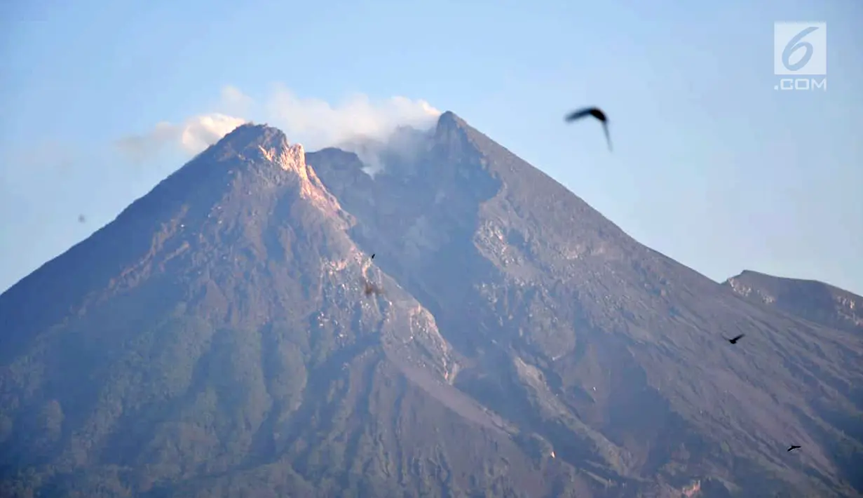 Pemandangan saat Gunung Merapi mengeluarkan asap terlihat dari Kaliadem, Sleman, DIY, Minggu (24/2). Hingga kini Gunung Merapi masih berstatus Waspada (Level 2). (Liputan6.com/Gholib)