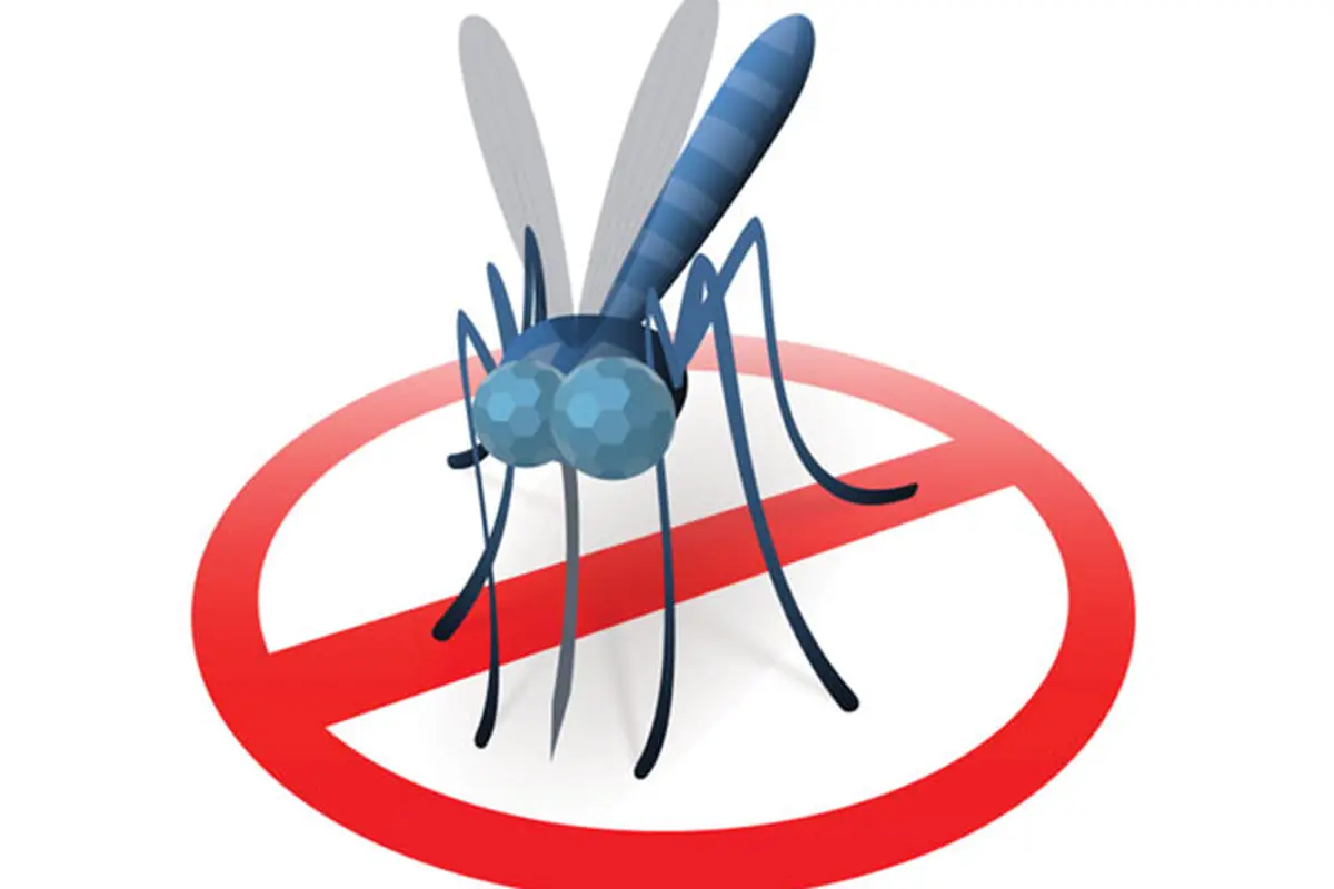 7 Fakta Tentang Malaria